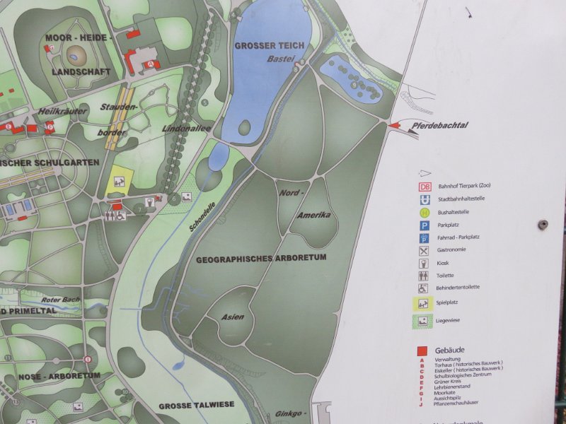 Geografisches Arboretum Rombergpark am 17,102018 (32)